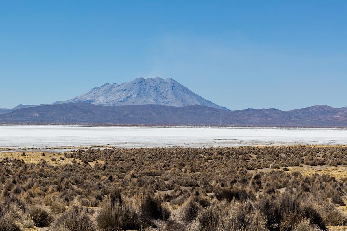 Laguna de Salinas con reflejo de volcanes y avistamiento de flamencos